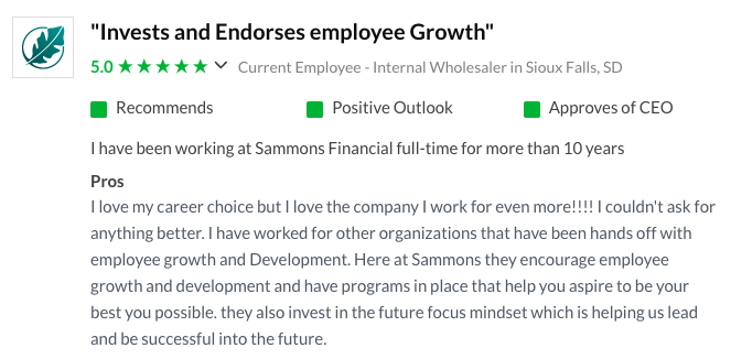 Review of a company's corporate culture