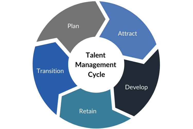 Talent Management Cycle Chart