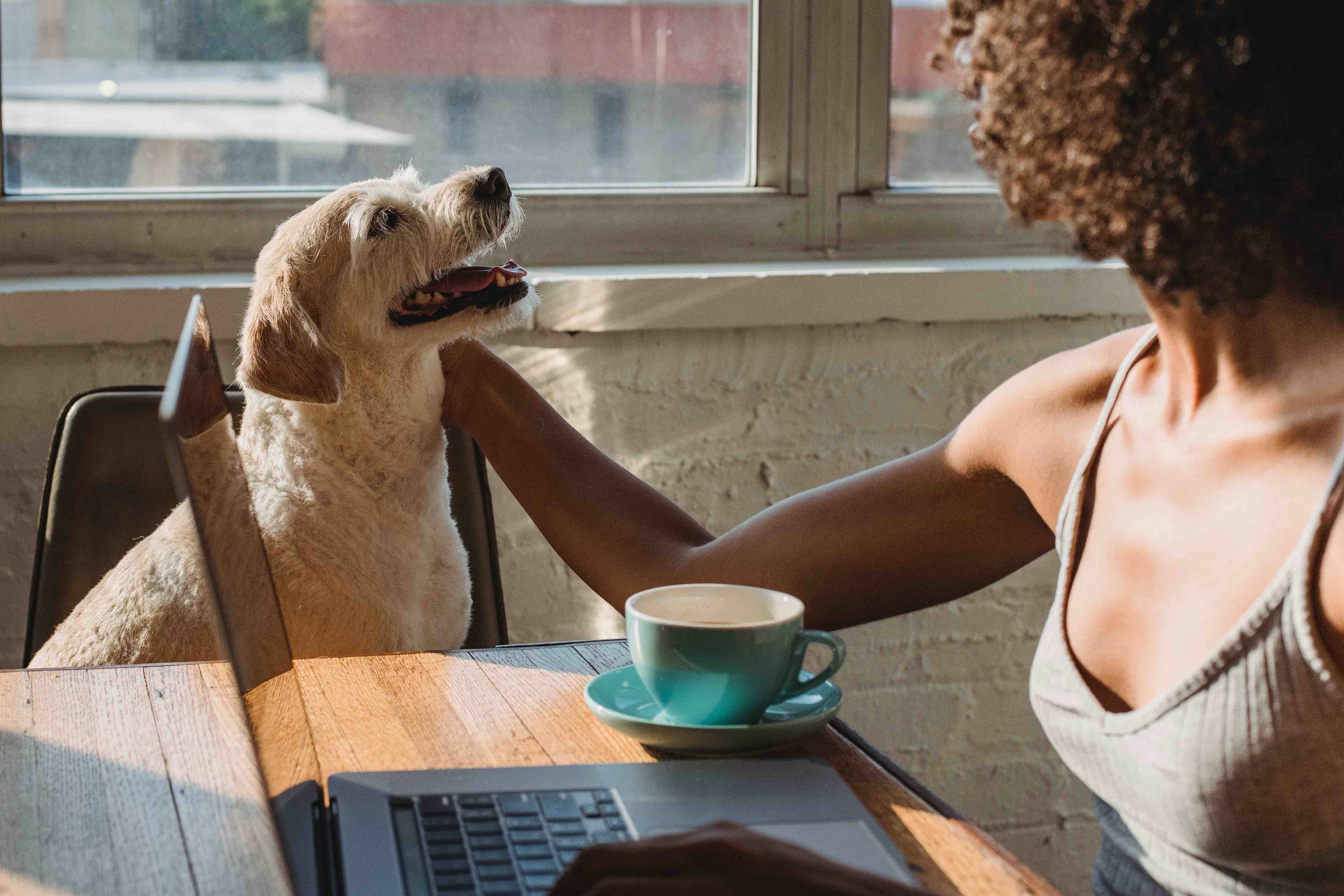 A remote worker petting her dog