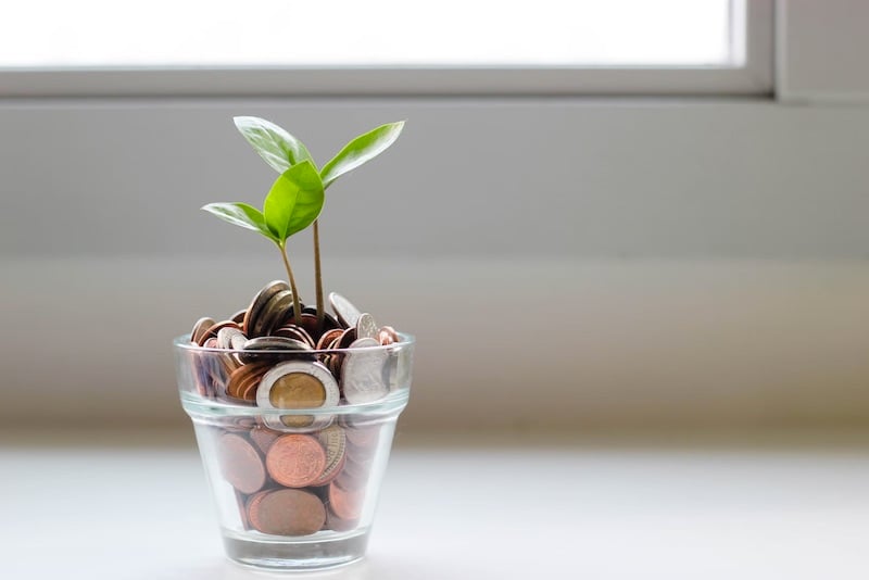 A plant in a vase full of coins