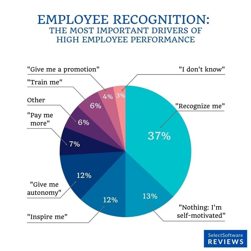 A pie chart with the most important drivers of high employee performance