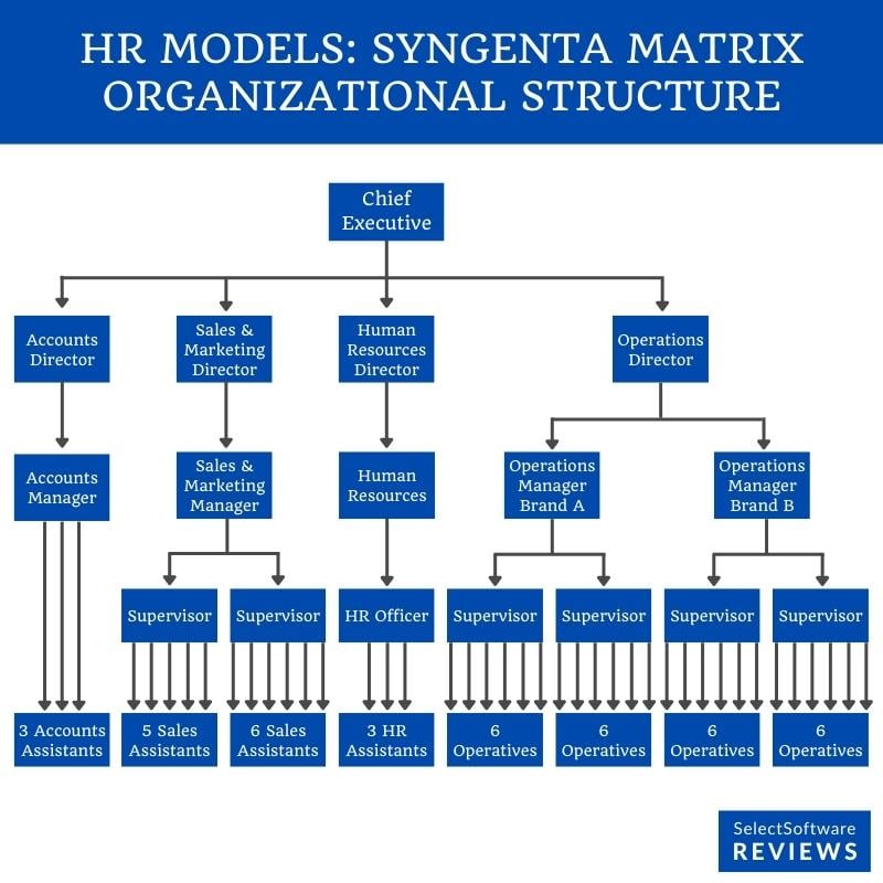 Sygenta's HR organizational structure in matrix form