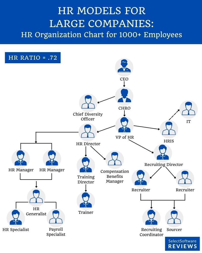An example of a large-size organizational chart - HR Structure Example