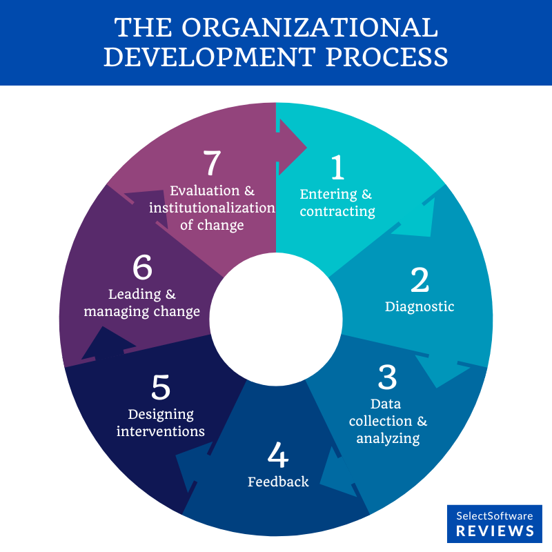 The organizational development process.