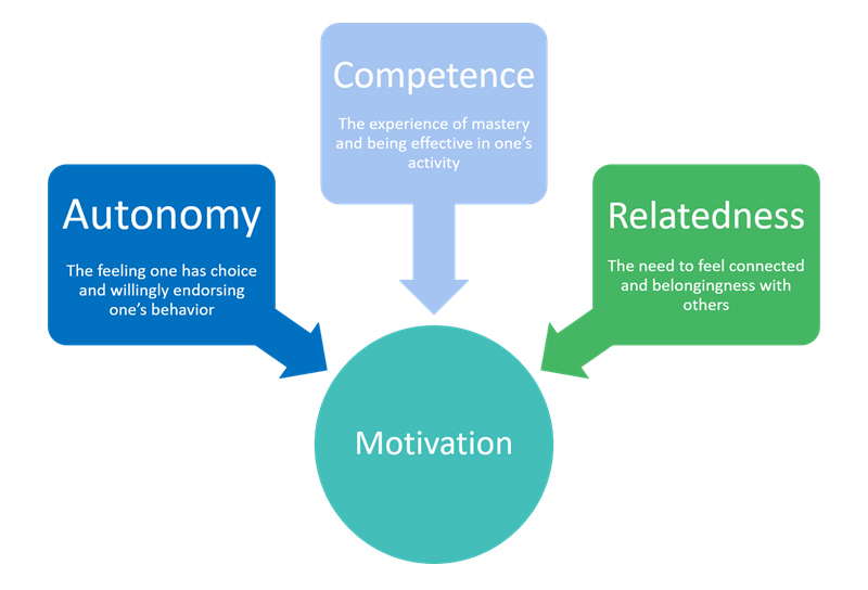 A graphic depicting Ryan and Deci's Self-Determination Theory.