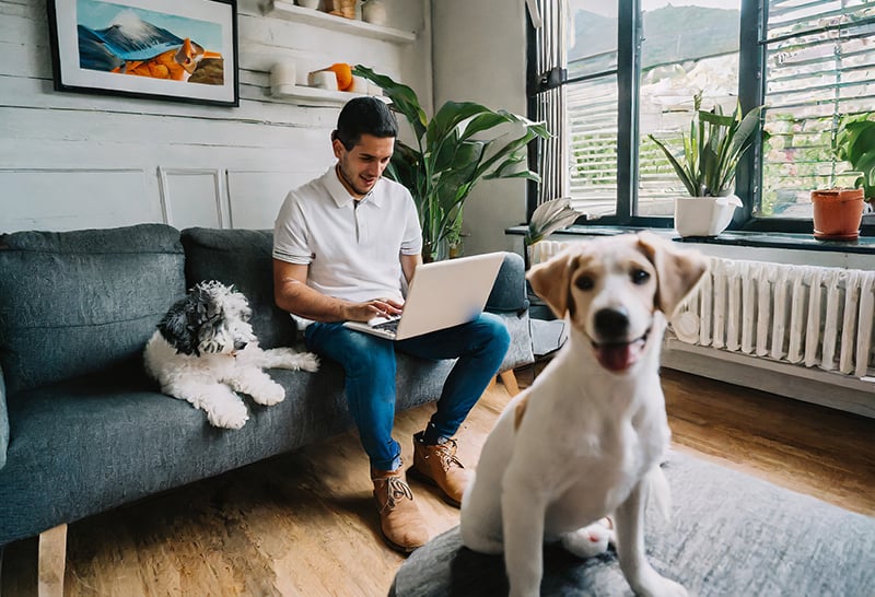 As a form of free employee recognition, a top-performing employee is allowed to work from home to spend more time with his dogs.
